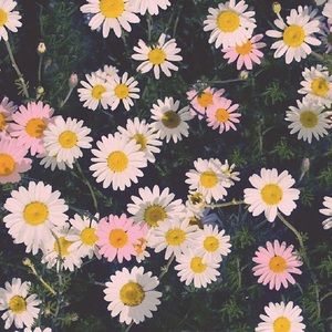 Meet your Posher, Kaelee